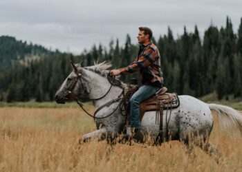 Thuần hóa chú “ngựa hoang” trên thảo nguyên ?