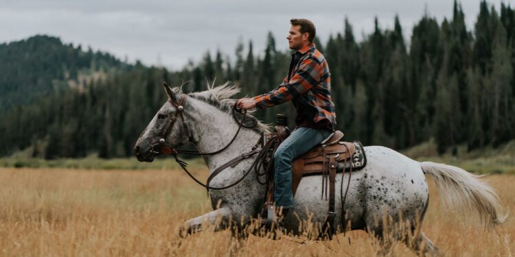 Thuần hóa chú “ngựa hoang” trên thảo nguyên ?