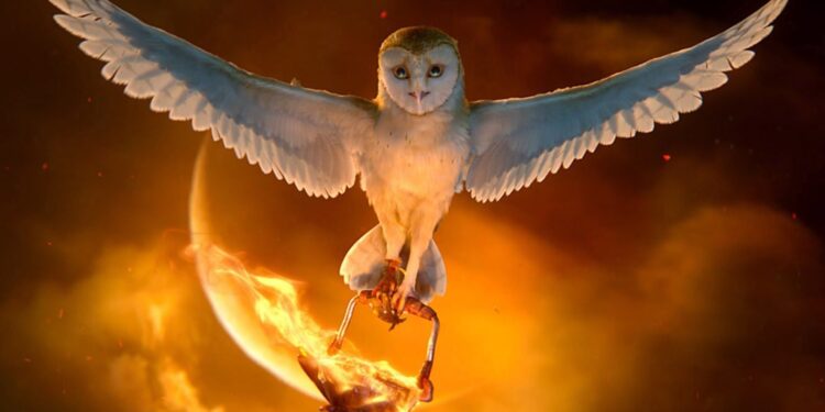 "Flight of the Silverbird" - Bản hùng ca tráng lệ của chú Chim Bạc